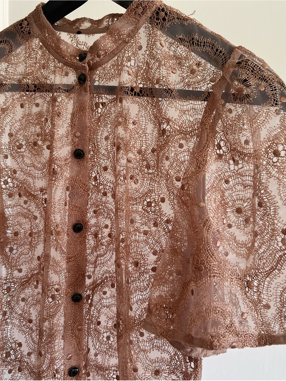 Fendi Sheer Floral Lace Button-Up Blouse in Dusty Brown
